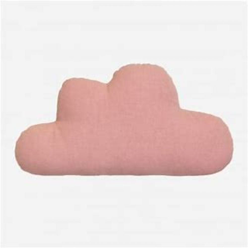 Une image pour le produit Coussin en Coton 25x40 cm