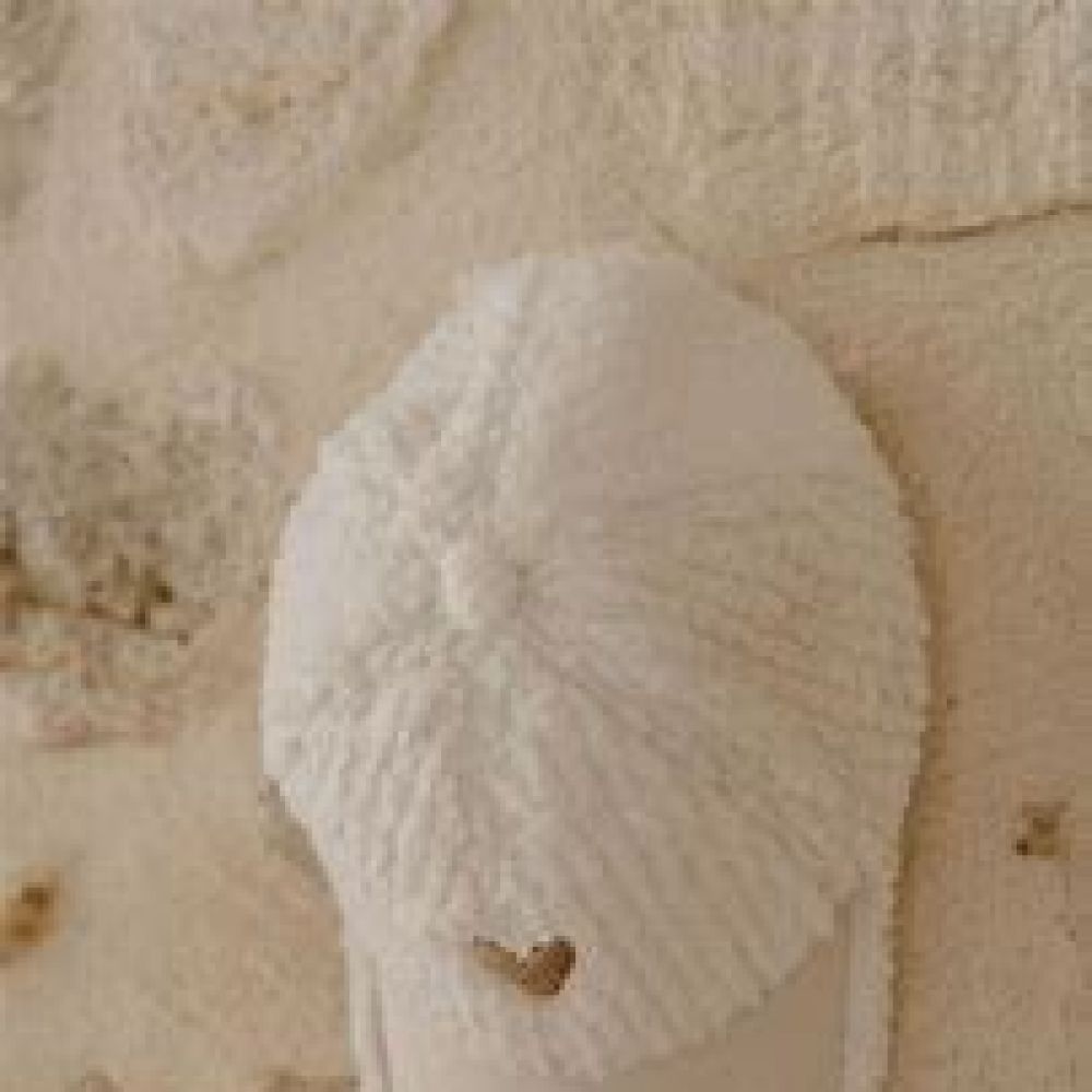Une image pour le produit ZAKUW Casquette Love Enfant